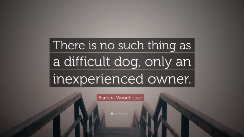 Barbara Woodhouse Quote: “There is no such thing as a difficult dog, only an inexperienced owner.”