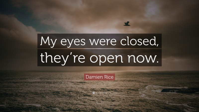 Damien Rice Quote: “My eyes were closed, they’re open now.”