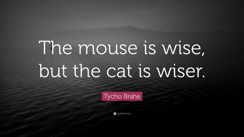 Tycho Brahe Quote: “The mouse is wise, but the cat is wiser.”