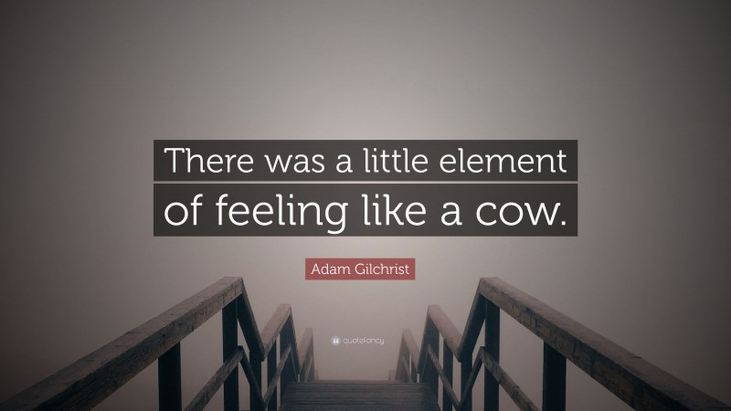 Adam Gilchrist Quote: “There was a little element of feeling like a cow.”