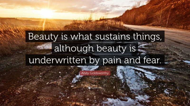 Andy Goldsworthy Quote: “Beauty is what sustains things, although beauty is underwritten by pain and fear.”