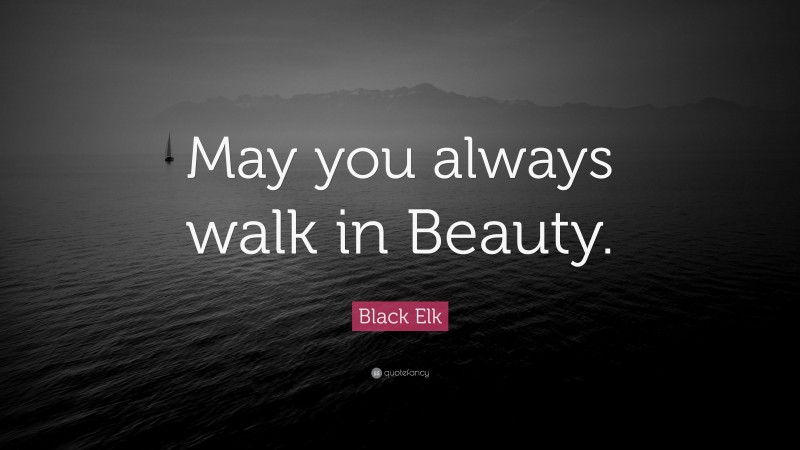 Black Elk Quote: “May you always walk in Beauty.”