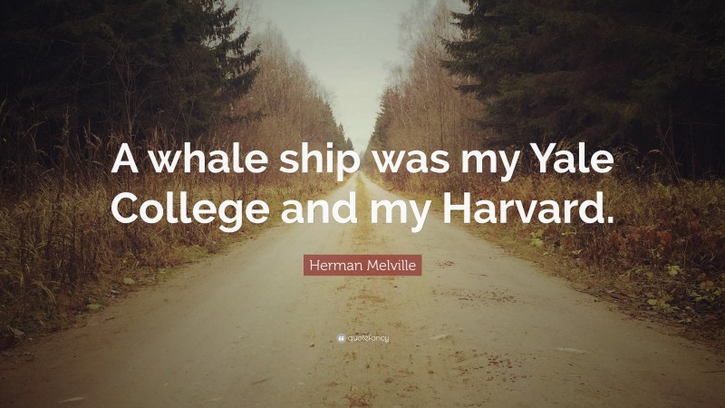 Herman Melville Quote: “A whale ship was my Yale College and my Harvard.”