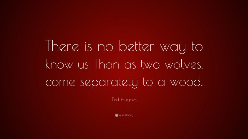 Ted Hughes Quote: “There is no better way to know us Than as two wolves, come separately to a wood.”