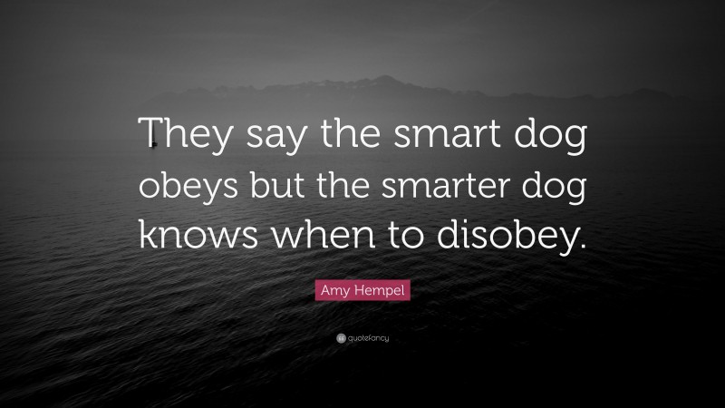 Amy Hempel Quote: “They say the smart dog obeys but the smarter dog knows when to disobey.”