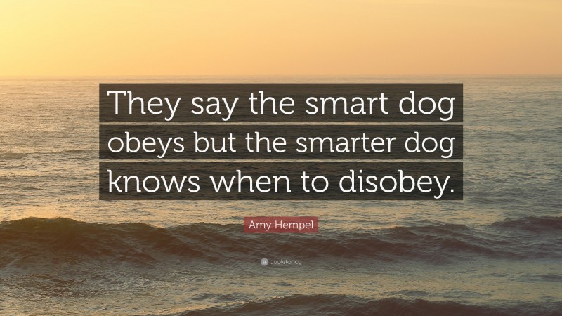 Amy Hempel Quote: “They say the smart dog obeys but the smarter dog knows when to disobey.”