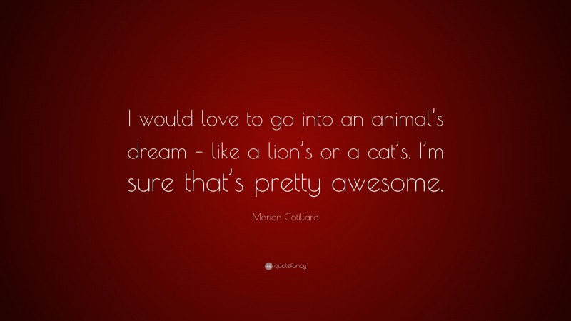 Marion Cotillard Quote: “I would love to go into an animal’s dream – like a lion’s or a cat’s. I’m sure that’s pretty awesome.”