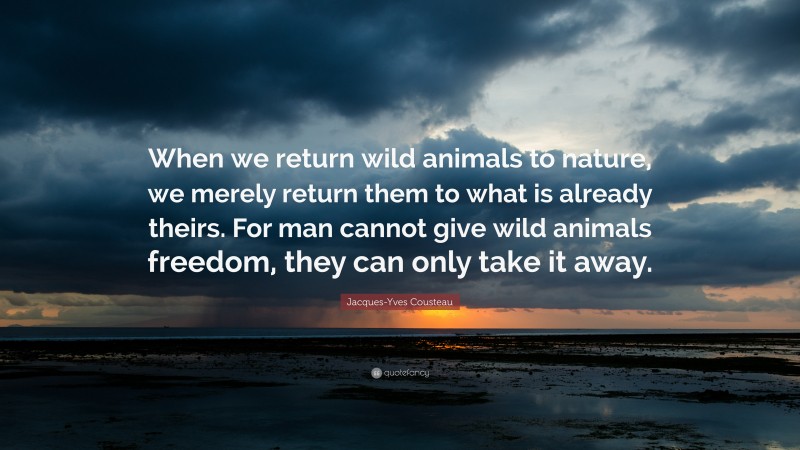 Jacques-Yves Cousteau Quote: “When we return wild animals to nature, we merely return them to what is already theirs. For man cannot give wild animals freedom, they can only take it away.”
