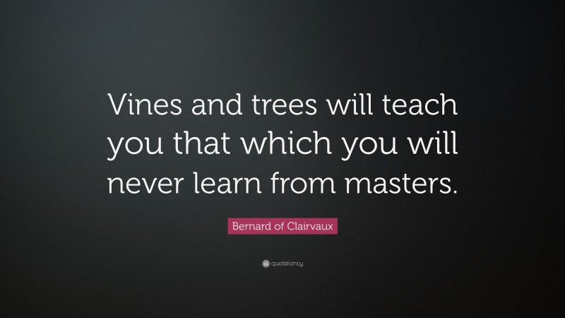 Bernard of Clairvaux Quote: “Vines and trees will teach you that which you will never learn from masters.”