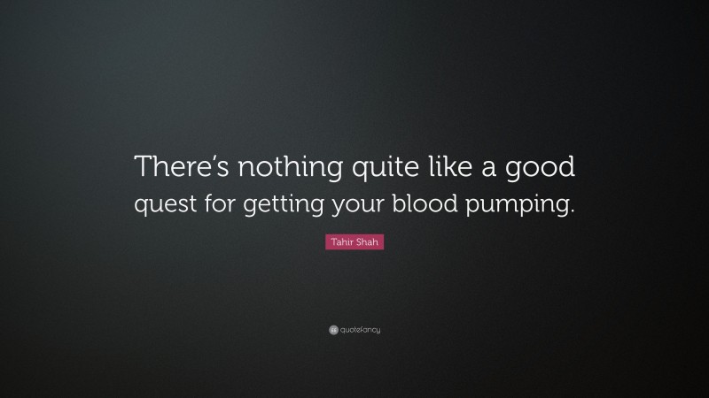 Tahir Shah Quote: “There’s nothing quite like a good quest for getting your blood pumping.”