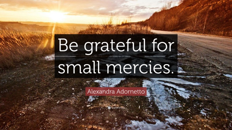 Alexandra Adornetto Quote: “Be grateful for small mercies.”