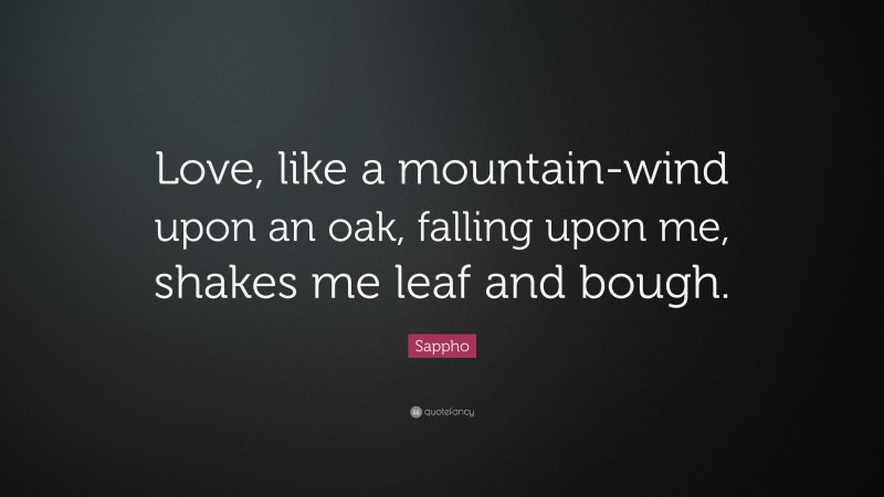 Sappho Quote: “Love, like a mountain-wind upon an oak, falling upon me, shakes me leaf and bough.”