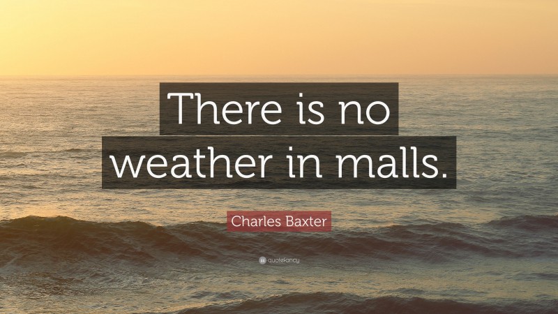 Charles Baxter Quote: “There is no weather in malls.”