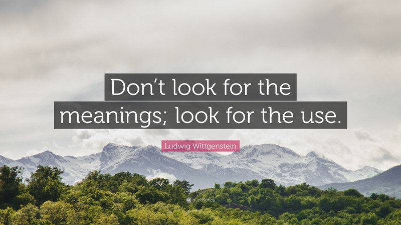 Ludwig Wittgenstein Quote: “Don’t look for the meanings; look for the use.”