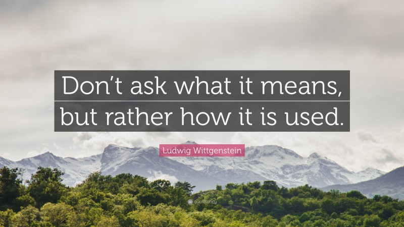 Ludwig Wittgenstein Quote: “Don’t ask what it means, but rather how it is used.”