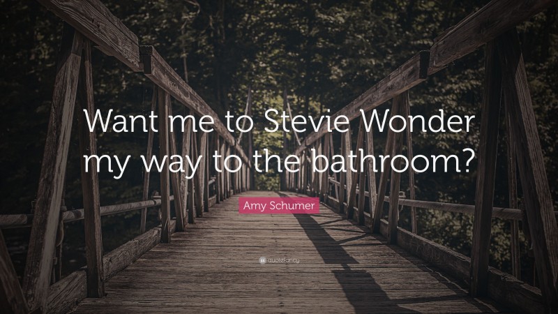 Amy Schumer Quote: “Want me to Stevie Wonder my way to the bathroom?”