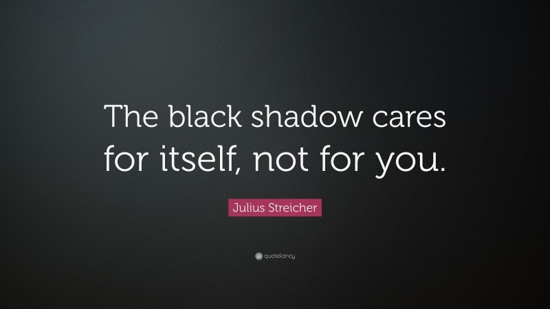 Julius Streicher Quote: “The black shadow cares for itself, not for you.”