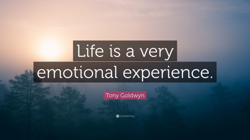 Tony Goldwyn Quote: “Life is a very emotional experience.”
