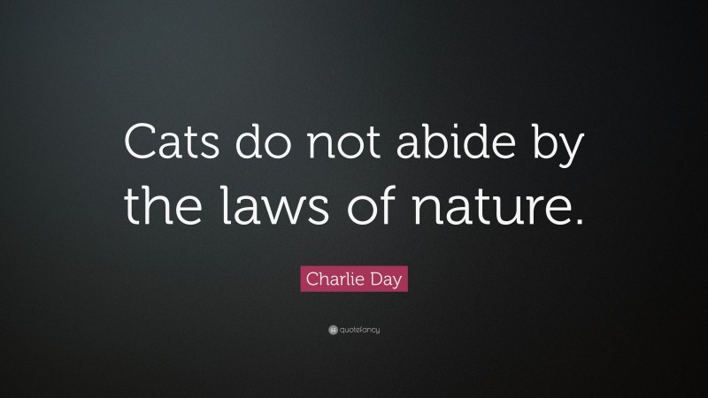 Charlie Day Quote: “Cats do not abide by the laws of nature.”