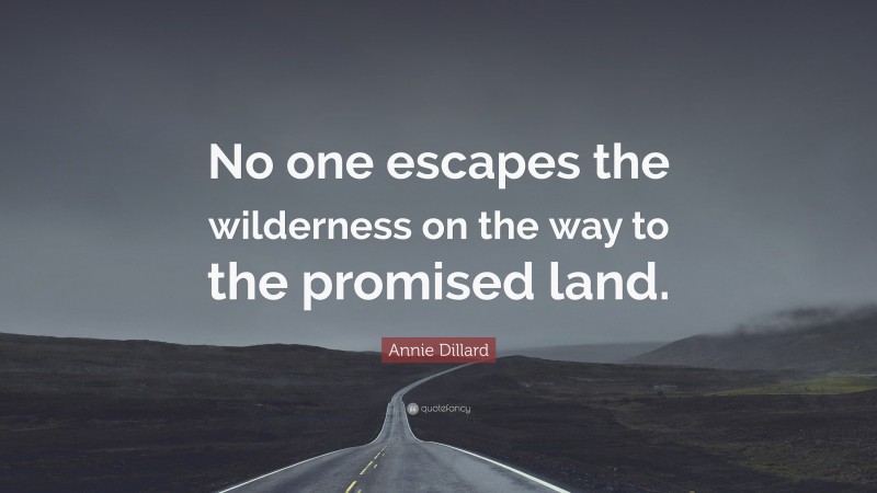 Annie Dillard Quote: “No one escapes the wilderness on the way to the promised land.”
