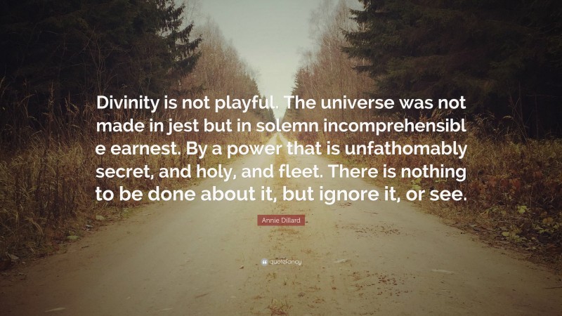 Annie Dillard Quote: “Divinity is not playful. The universe was not made in jest but in solemn incomprehensibl e earnest. By a power that is unfathomably secret, and holy, and fleet. There is nothing to be done about it, but ignore it, or see.”