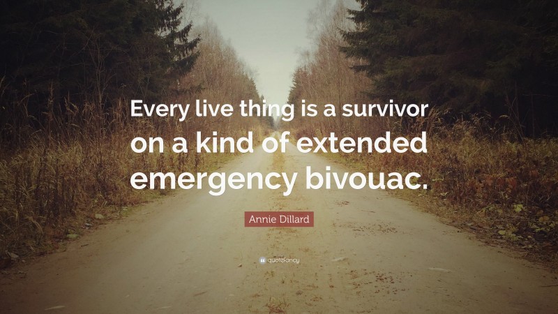 Annie Dillard Quote: “Every live thing is a survivor on a kind of extended emergency bivouac.”