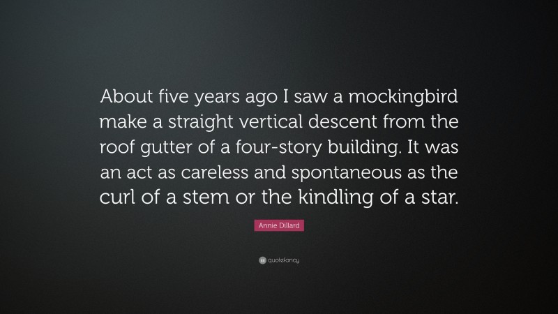 Annie Dillard Quote: “About five years ago I saw a mockingbird make a straight vertical descent from the roof gutter of a four-story building. It was an act as careless and spontaneous as the curl of a stem or the kindling of a star.”