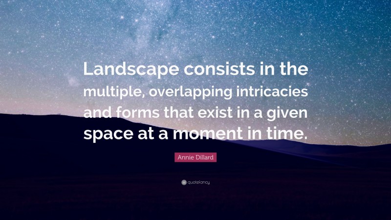 Annie Dillard Quote: “Landscape consists in the multiple, overlapping intricacies and forms that exist in a given space at a moment in time.”