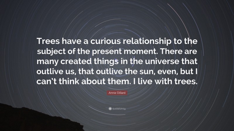 Annie Dillard Quote: “Trees have a curious relationship to the subject of the present moment. There are many created things in the universe that outlive us, that outlive the sun, even, but I can’t think about them. I live with trees.”