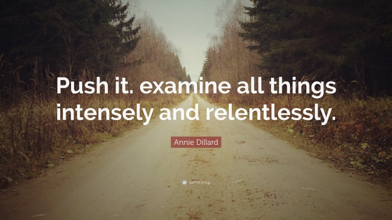 Annie Dillard Quote: “Push it. examine all things intensely and relentlessly.”