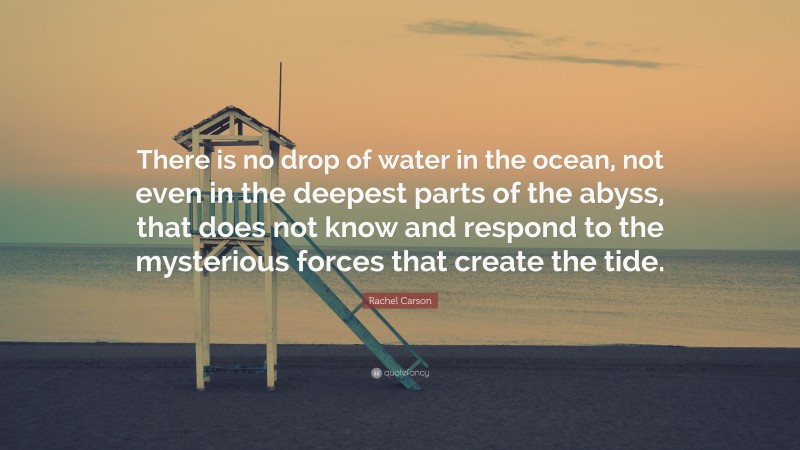 Rachel Carson Quote: “There is no drop of water in the ocean, not even in the deepest parts of the abyss, that does not know and respond to the mysterious forces that create the tide.”