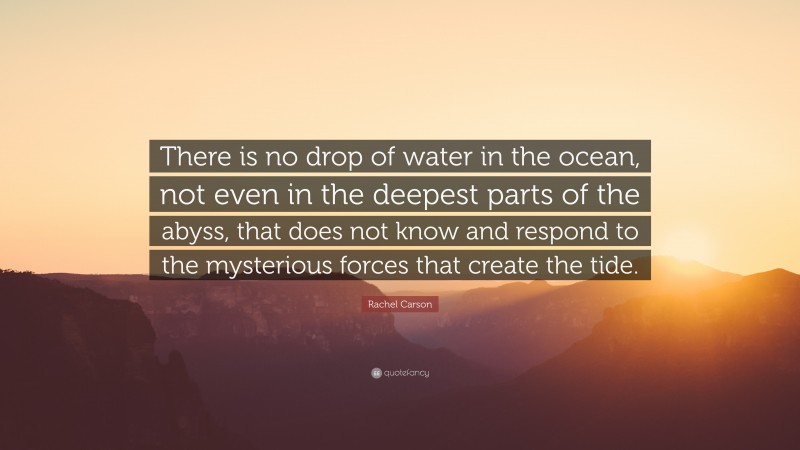 Rachel Carson Quote: “There is no drop of water in the ocean, not even in the deepest parts of the abyss, that does not know and respond to the mysterious forces that create the tide.”