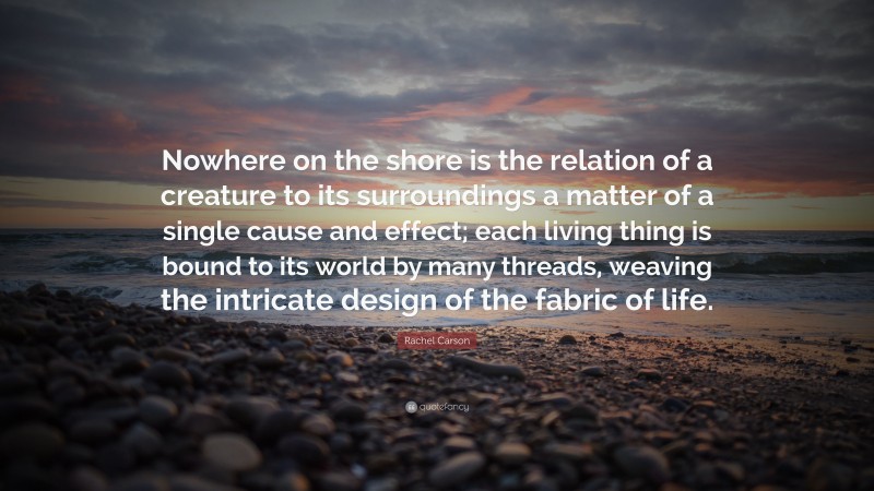Rachel Carson Quote: “Nowhere on the shore is the relation of a creature to its surroundings a matter of a single cause and effect; each living thing is bound to its world by many threads, weaving the intricate design of the fabric of life.”