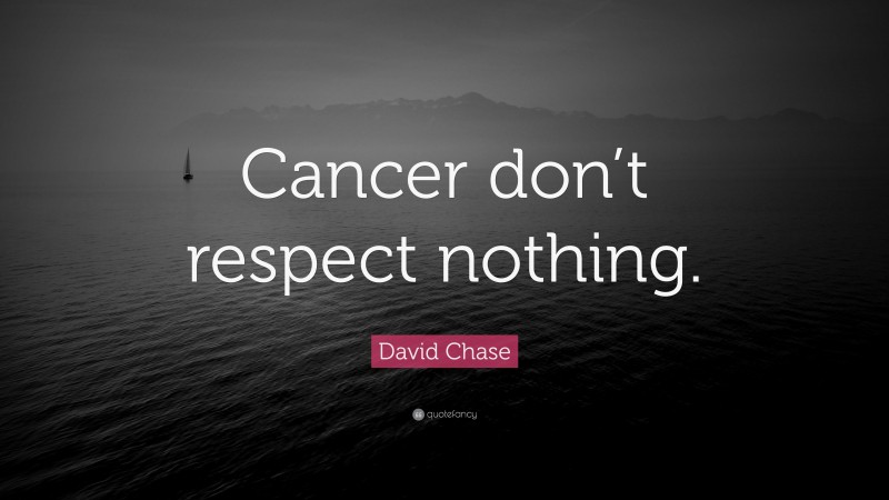 David Chase Quote: “Cancer don’t respect nothing.”