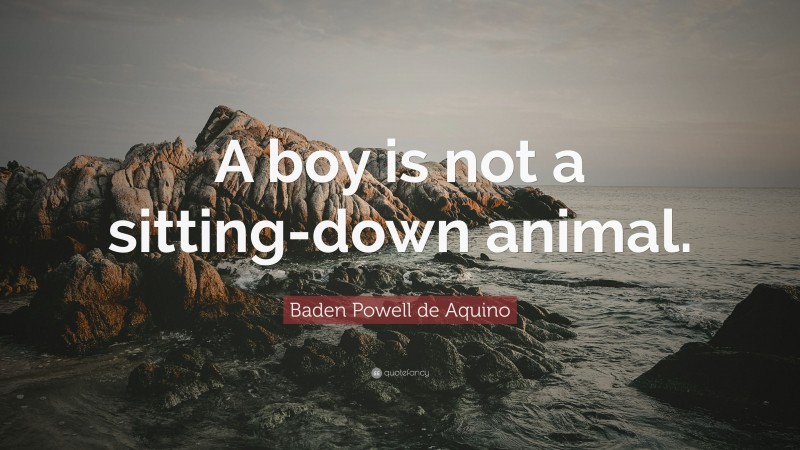 Baden Powell de Aquino Quote: “A boy is not a sitting-down animal.”