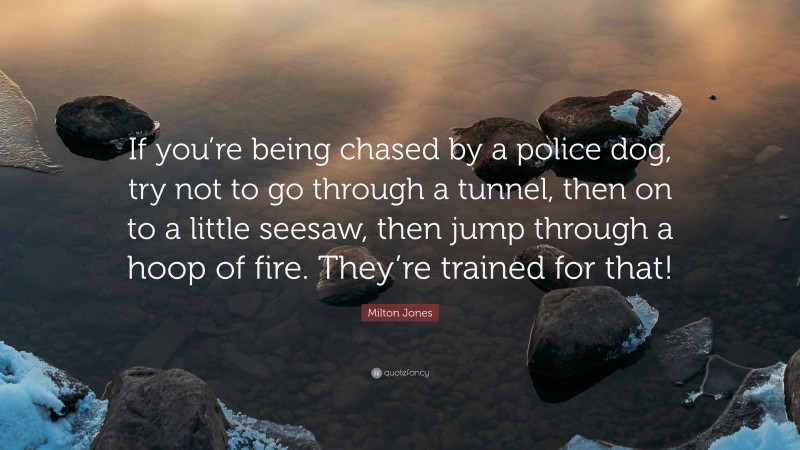 Milton Jones Quote: “If you’re being chased by a police dog, try not to go through a tunnel, then on to a little seesaw, then jump through a hoop of fire. They’re trained for that!”
