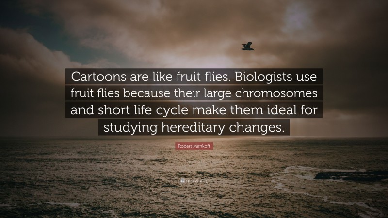 Robert Mankoff Quote: “Cartoons are like fruit flies. Biologists use fruit flies because their large chromosomes and short life cycle make them ideal for studying hereditary changes.”