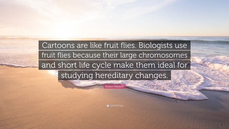 Robert Mankoff Quote: “Cartoons are like fruit flies. Biologists use fruit flies because their large chromosomes and short life cycle make them ideal for studying hereditary changes.”