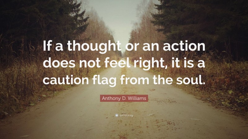 Anthony D. Williams Quote: “If a thought or an action does not feel right, it is a caution flag from the soul.”