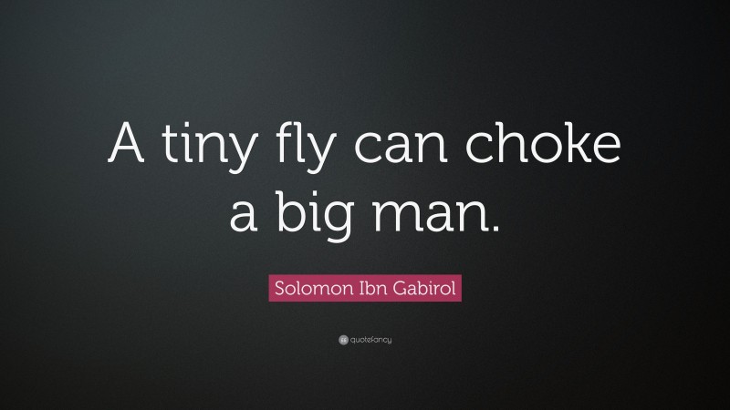 Solomon Ibn Gabirol Quote: “A tiny fly can choke a big man.”
