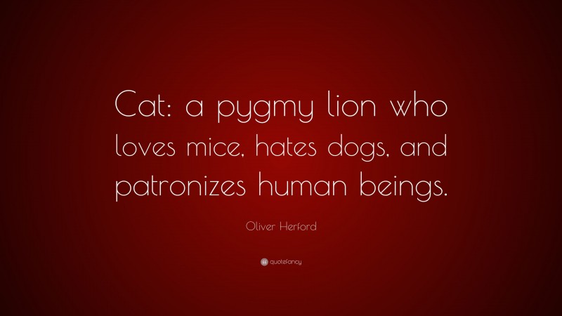 Oliver Herford Quote: “Cat: a pygmy lion who loves mice, hates dogs, and patronizes human beings.”
