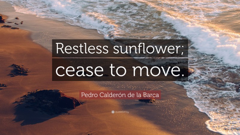 Pedro Calderón de la Barca Quote: “Restless sunflower; cease to move.”
