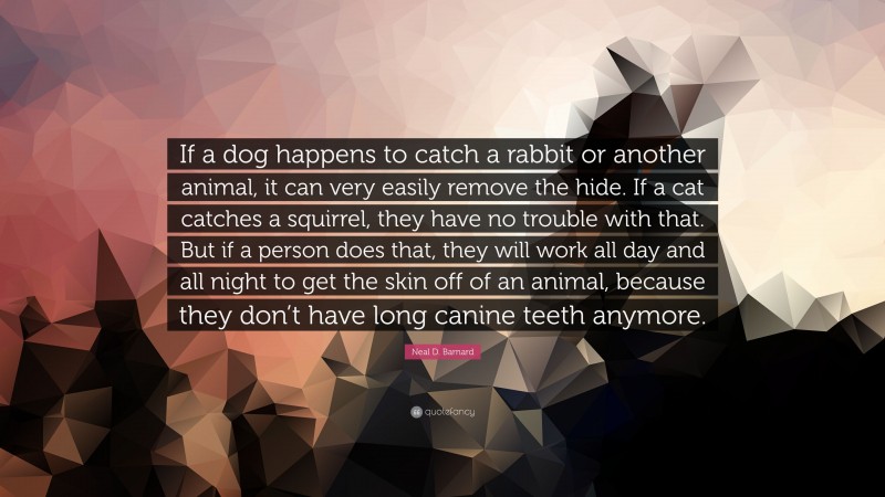 Neal D. Barnard Quote: “If a dog happens to catch a rabbit or another animal, it can very easily remove the hide. If a cat catches a squirrel, they have no trouble with that. But if a person does that, they will work all day and all night to get the skin off of an animal, because they don’t have long canine teeth anymore.”