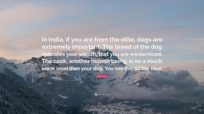 Kiran Desai Quote: “In India, if you are from the elite, dogs are extremely important. The breed of the dog indicates your wealth, that you are westernized. The cook, another human being, is on a much lower level than your dog. You see this all the time.”