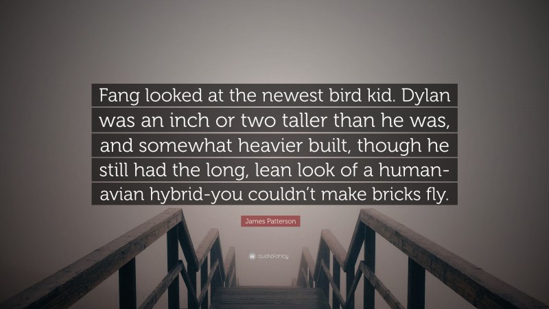 James Patterson Quote: “Fang looked at the newest bird kid. Dylan was an inch or two taller than he was, and somewhat heavier built, though he still had the long, lean look of a human-avian hybrid-you couldn’t make bricks fly.”