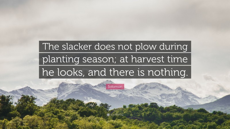 Solomon Quote: “The slacker does not plow during planting season; at harvest time he looks, and there is nothing.”