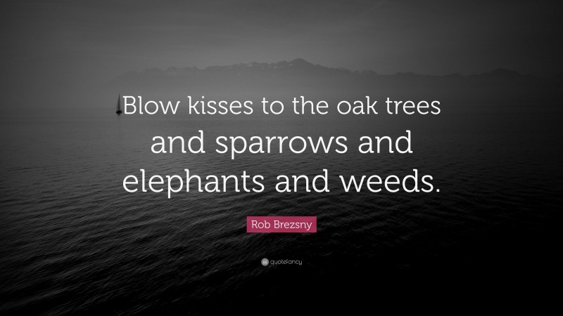 Rob Brezsny Quote: “Blow kisses to the oak trees and sparrows and elephants and weeds.”