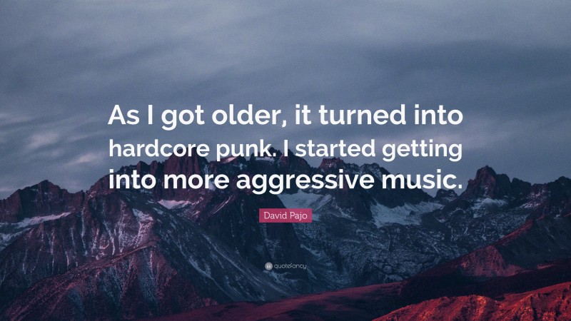 David Pajo Quote: “As I got older, it turned into hardcore punk. I started getting into more aggressive music.”