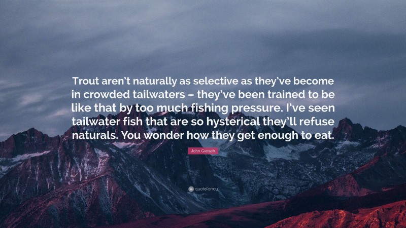 John Gierach Quote: “Trout aren’t naturally as selective as they’ve become in crowded tailwaters – they’ve been trained to be like that by too much fishing pressure. I’ve seen tailwater fish that are so hysterical they’ll refuse naturals. You wonder how they get enough to eat.”