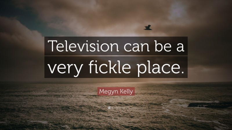 Megyn Kelly Quote: “Television can be a very fickle place.”